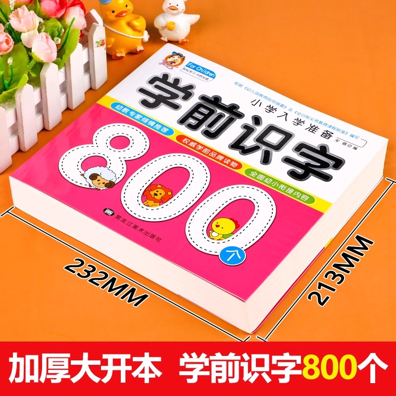 Preschool Literacy: 800 Chines - Kids Education In Us ulasan dan harga